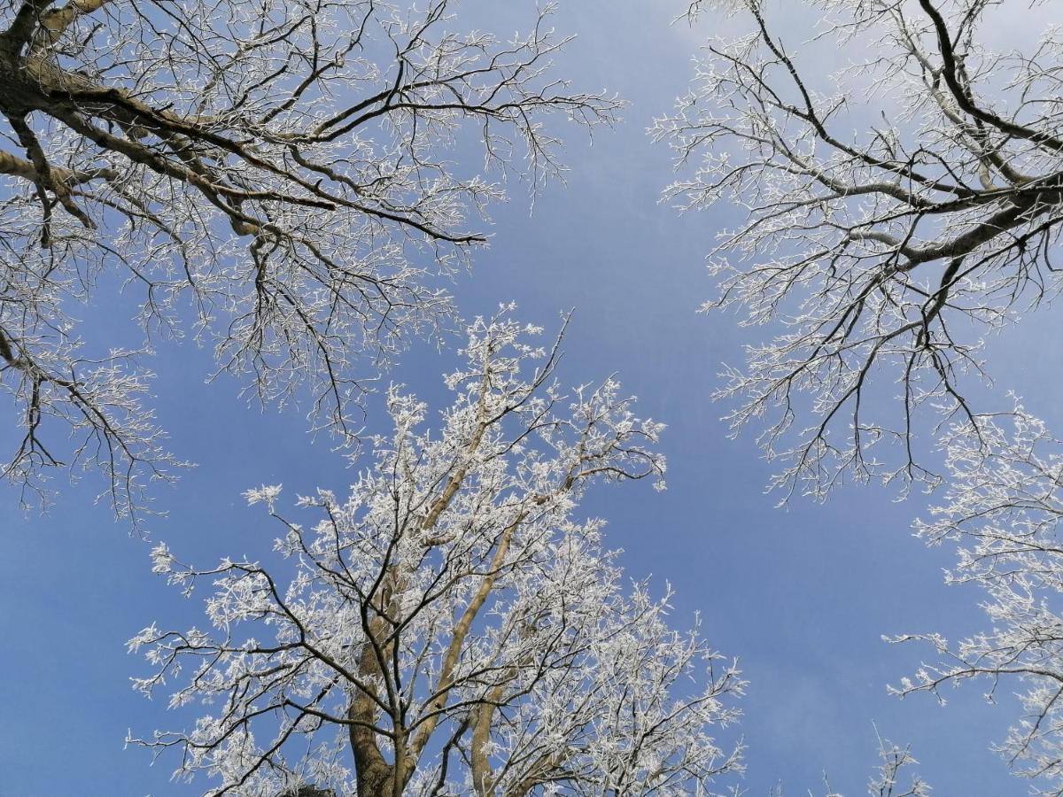 Stara Kuznia Lägenhet Duszniki Zdrój Exteriör bild
