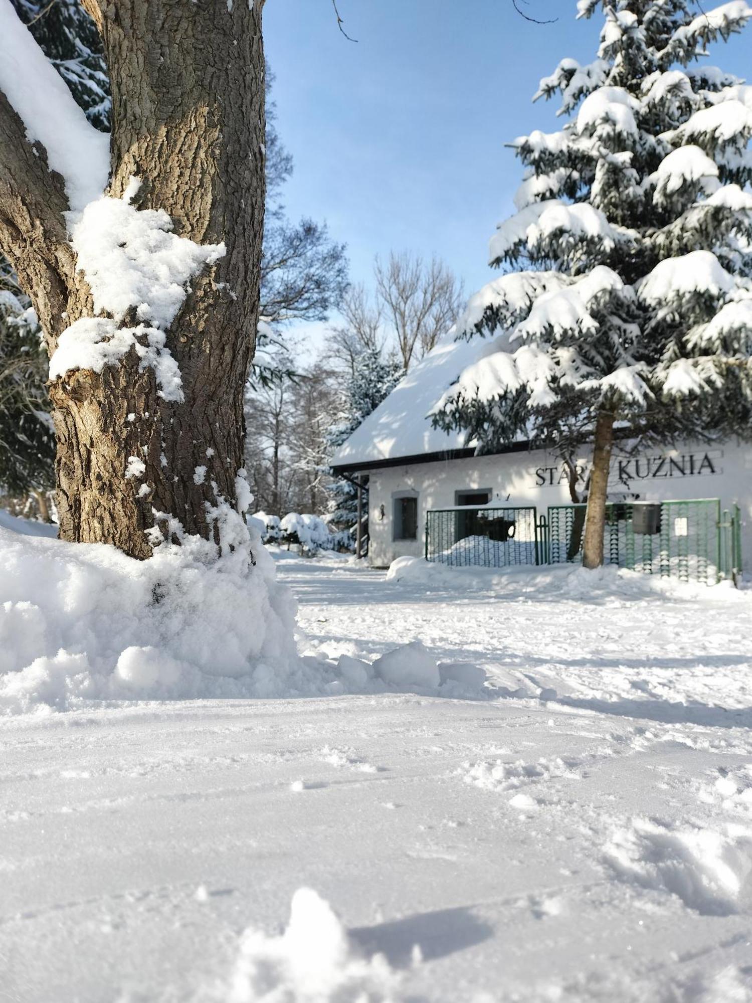 Stara Kuznia Lägenhet Duszniki Zdrój Exteriör bild